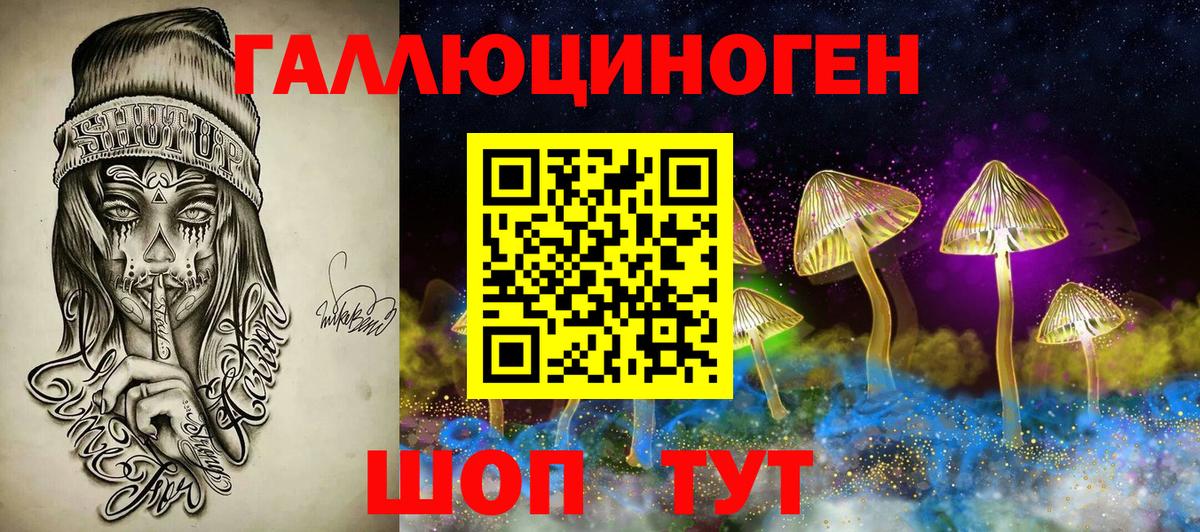 Псилоцибиновые грибы прущие грибы  Вход с VPN  Трёхгорный 